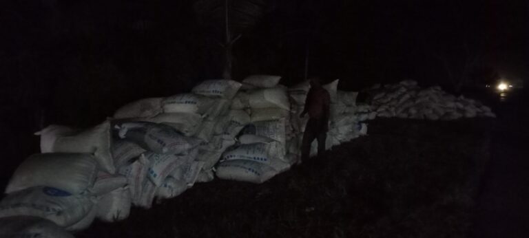 Akibat Kelangkaan Bio Solar, Pengambilan Padi di Bungaraya Terhambat, Petani Mengeluh