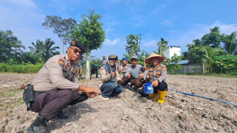 Dukung Program Presiden, Polsek Bungaraya Tanam Jagung Pipil di Lahan Seluas 1 Hektare