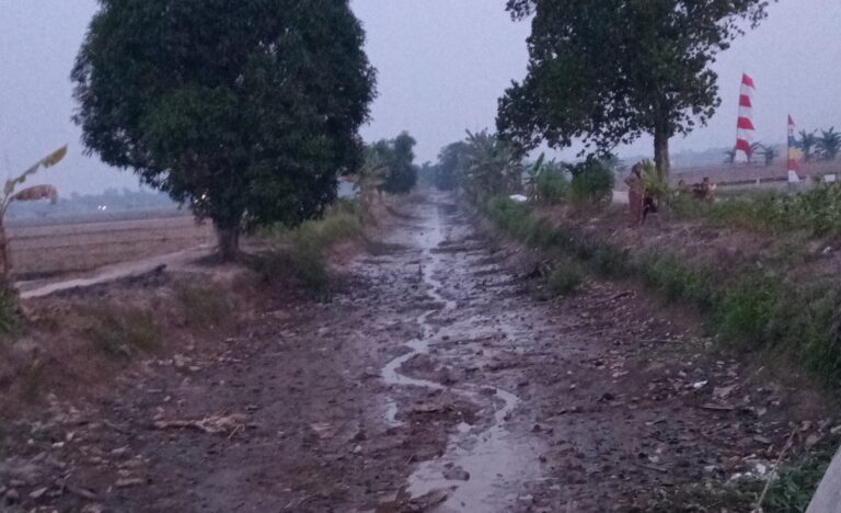 Kekeringan di Bungaraya Ditangani, BWSS III Segera Kerahkan Alat Berat dan Tambah Jam Pompa