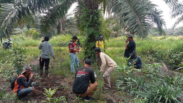 Surat Yang Saya Terbitkan Tidak Sampai di Titik Konflik